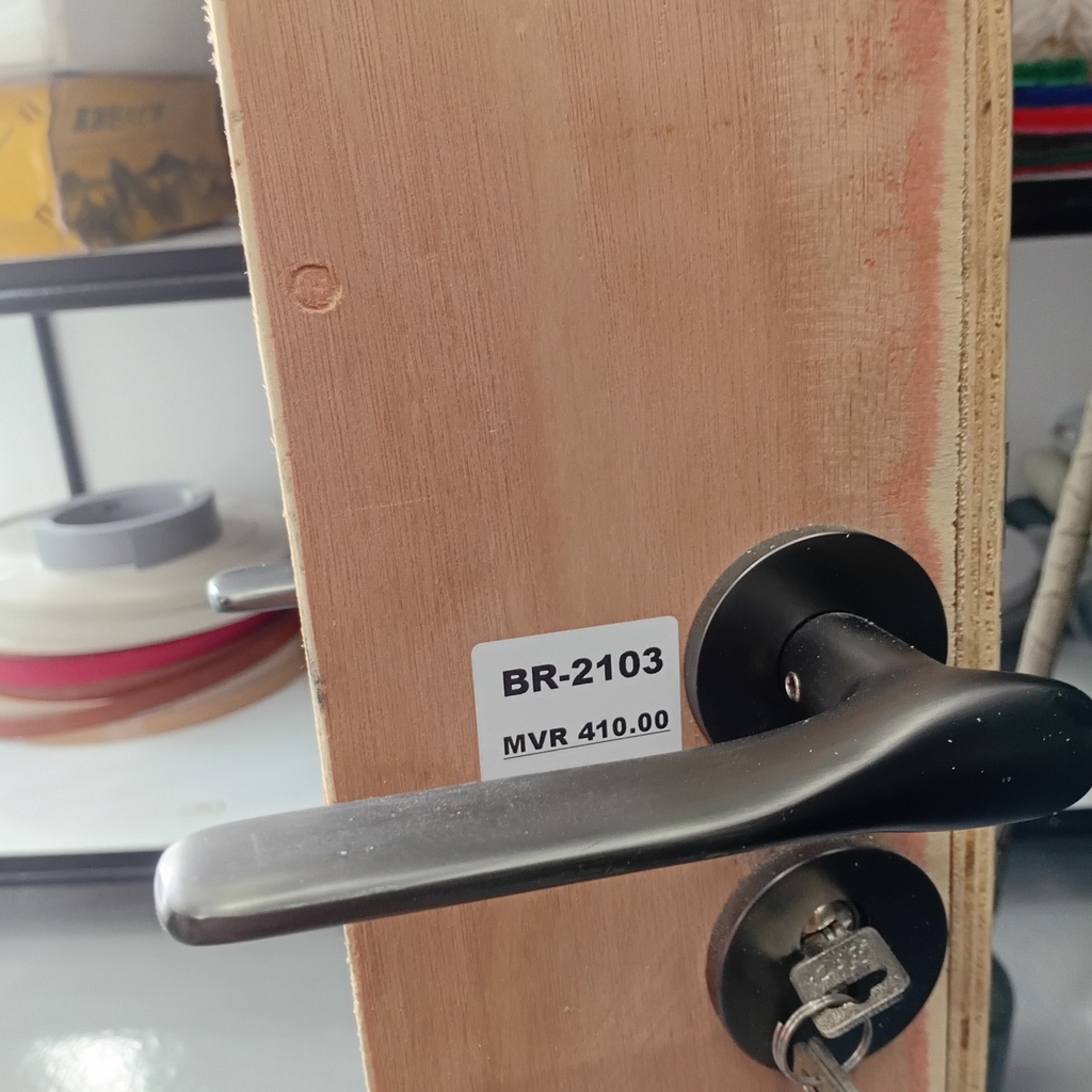 Door Handle With Lock, AA94-137B#, GREY