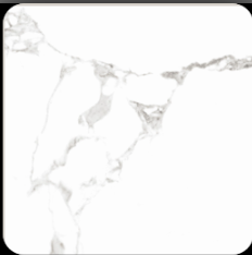 Varmora - Floor Tile Fiore White 600X600MM Glossy 
