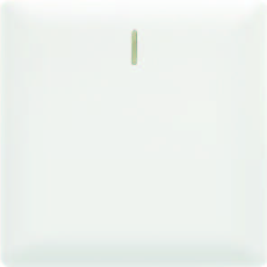 EliteElegance-Plate Switch+Neon 91301EFQ  - 10A, 1 Gang 1 Way, White 