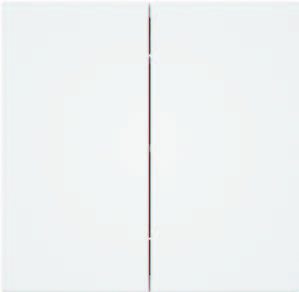 EliteElegance-Plate Switch 41303E  - 10A, 2 Gang 1 Way, White 