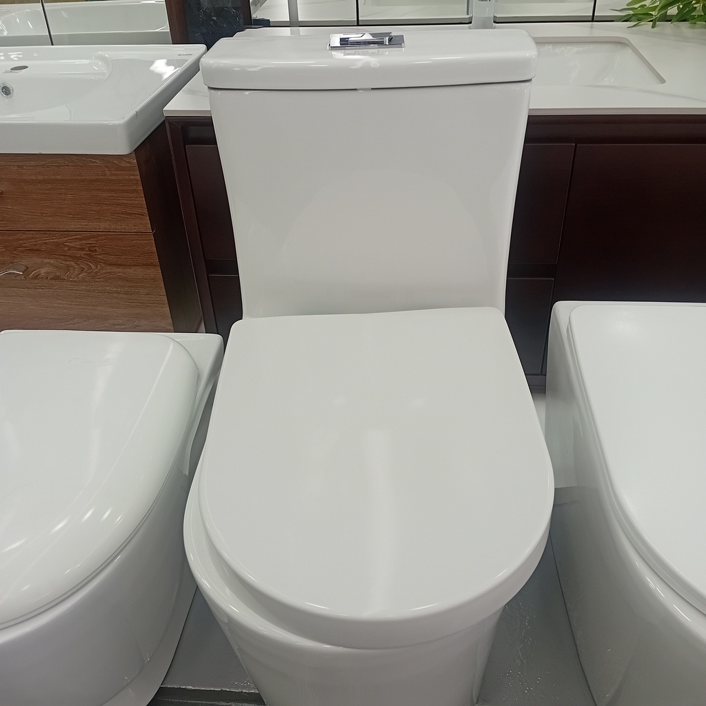 Toilet Seat 9262# Size:600*350*720S-trap: roughing-in 300mm
