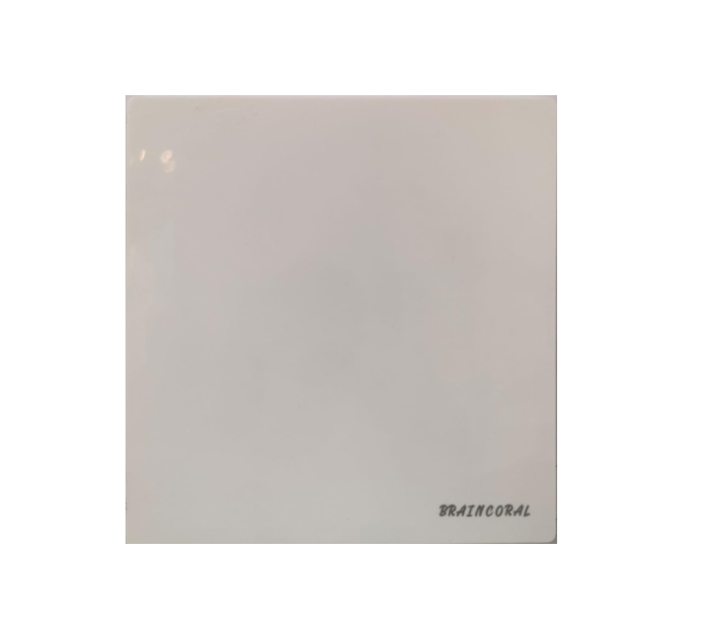 blank panel - White