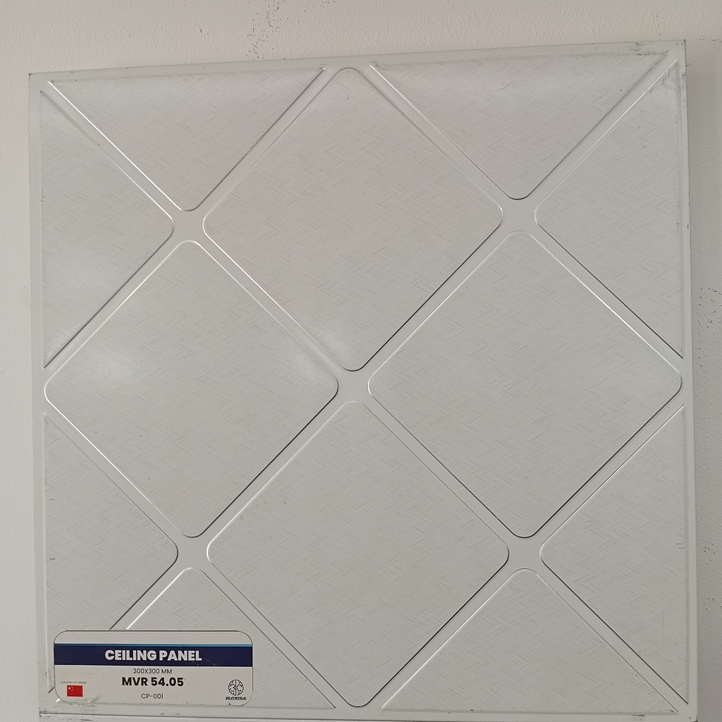 CEILING PANEL   CP-001  300*300 mm
Box Code: CP-W-02