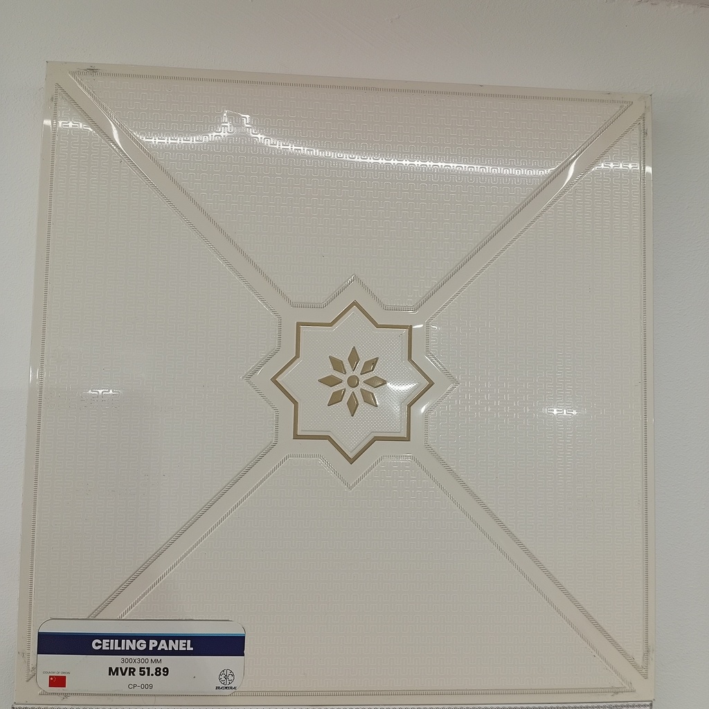 CEILING PANEL  CP-009  300*300 MM
Box Code: CP-C-03