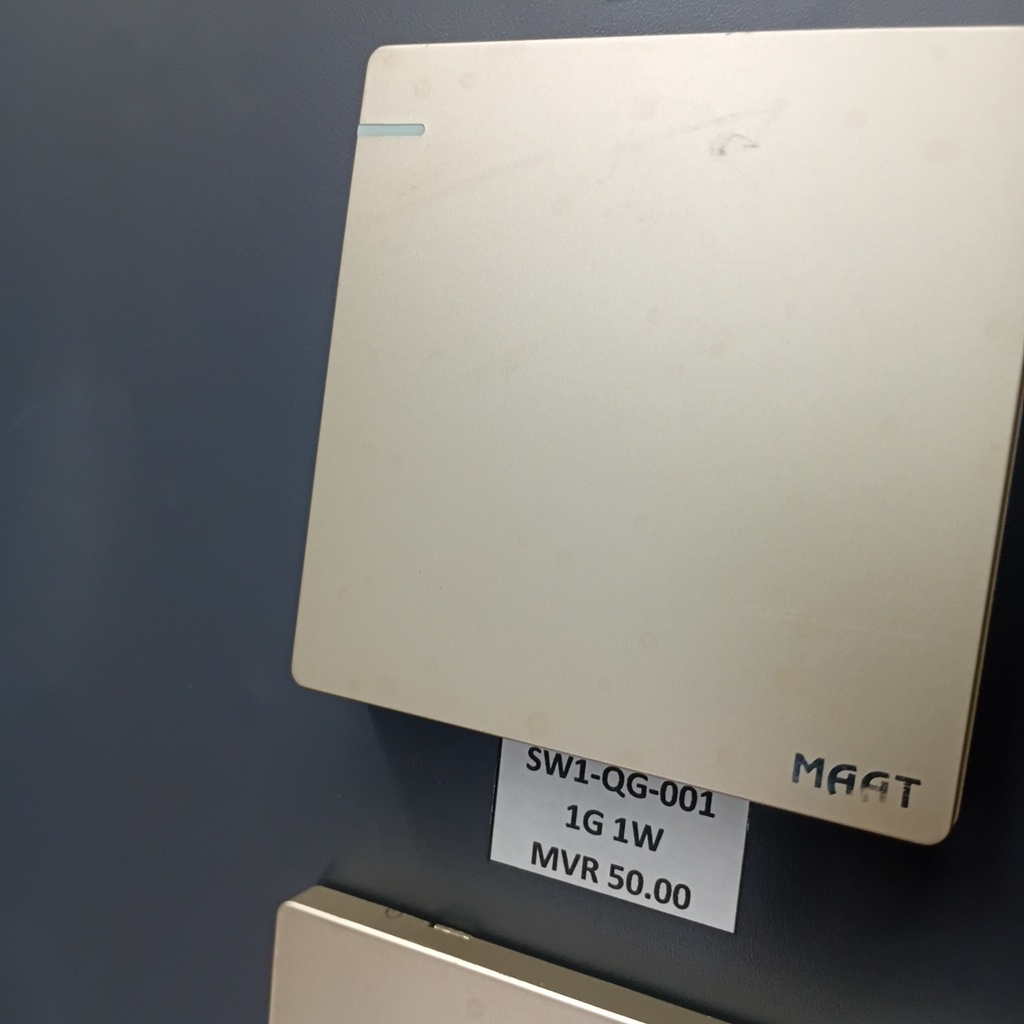 1GANG 1WAY SWITCH GOLD PLATE
Box Code: Q5C1Q/1Y