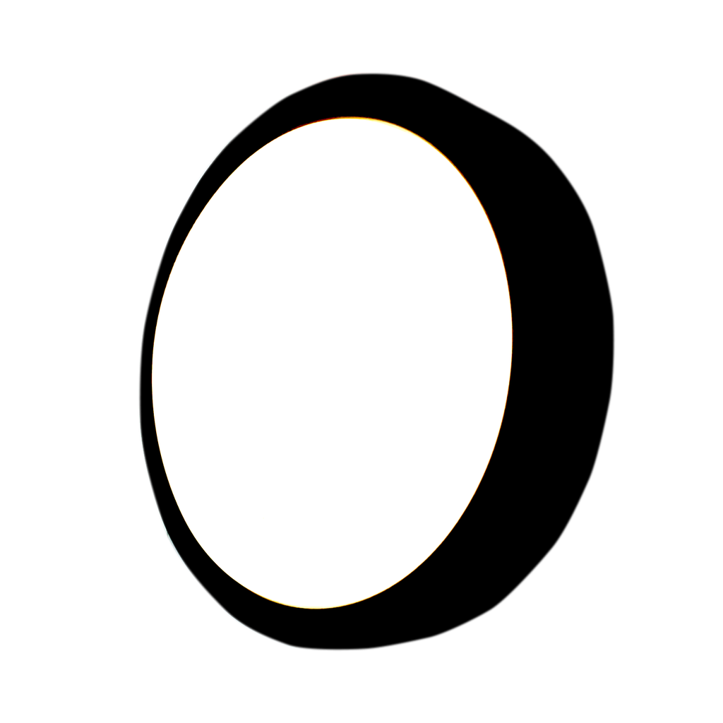 LED Bulkhead Outdoor Light 18W/4000K