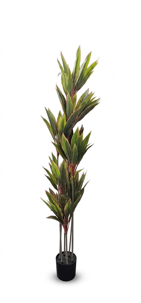 Artificial Cordyline Fruticosa Plant 150cm