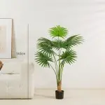 Tang palm sunflower  140cm