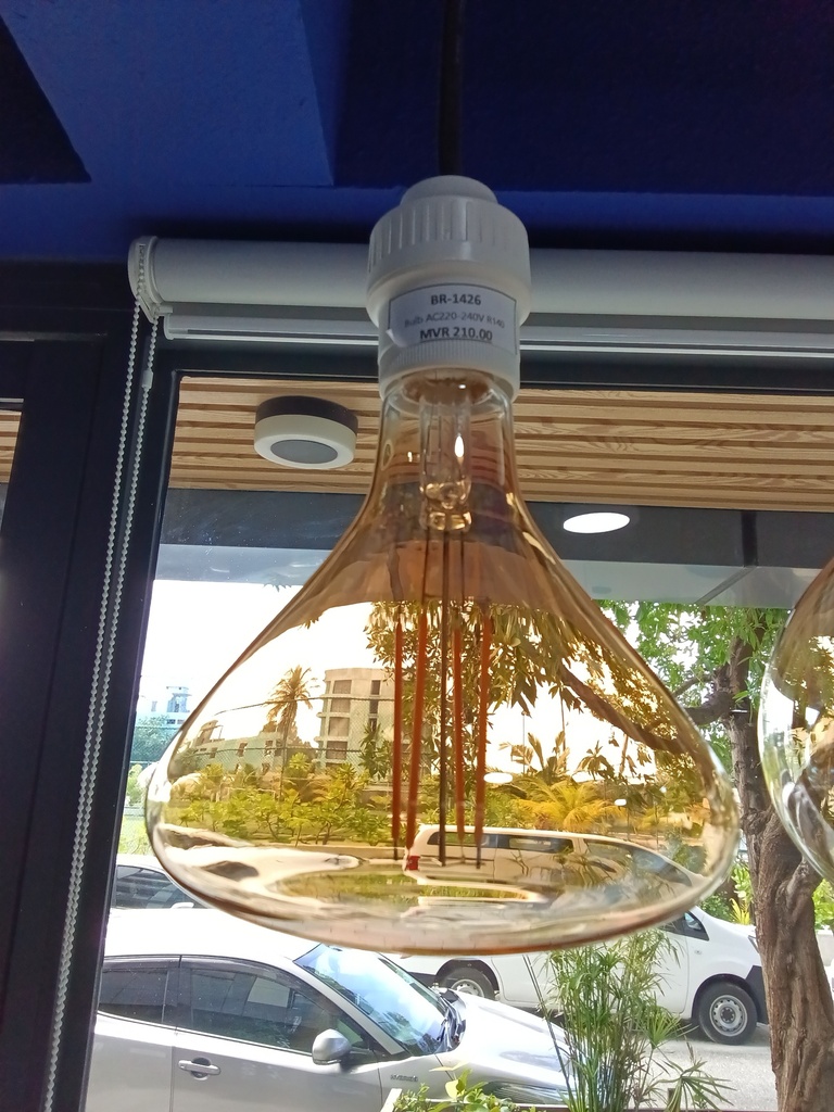 Bulb AC220-240V R140