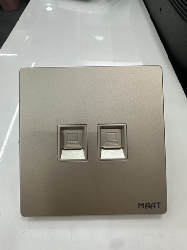[SWS2-QG-001] 2 GANG DATA SOCKET  GOLD PLATED  SWS2-QG-001
Box Code: Q5CDN2-6