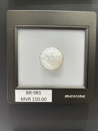 [BR-981] Foot Light - With Sensor, AC220V/50HZ,  Power 0.8W, Grey  MRT203-M50G 86X89mm  18RMB  sensor Tempered  glass