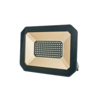 [BR-118] Led Flood Light 50W BRAND: EN-LIGHT