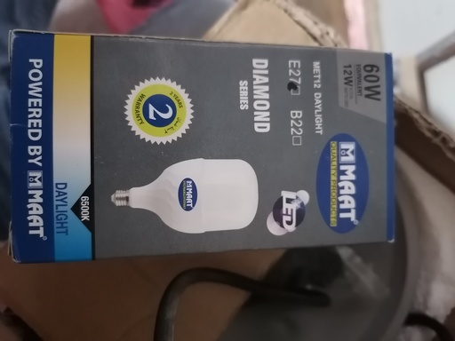 [BR-1341] Bulk Head Bulb - MAAT 60W - E27  LT-TB-001 - Diamond