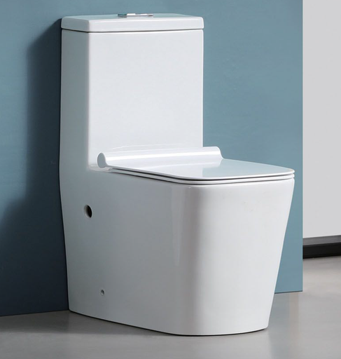 [BR-2579] Toilet Seat With UF Cover T2073 640x360x800, S-trap 250mm Brand: Gafeel