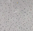 [BR-2694] PVC Wall Panel Tile Parkle 500X7X2600MM - White Matte