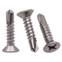 [25649] Screw - Self Tapping, CSK, Phillips Oval Head, SS304, M5 X 38MM