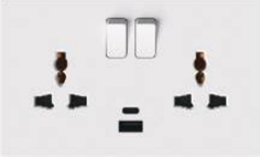 [BR-3099] EliteElegance- Multi Function Socket with USB 41689Q (Type A+C), 16A 1 Gang Switched
